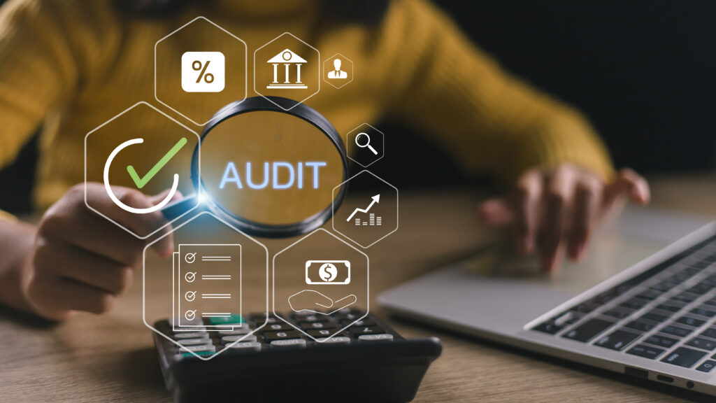 The Role of Internal Auditors
